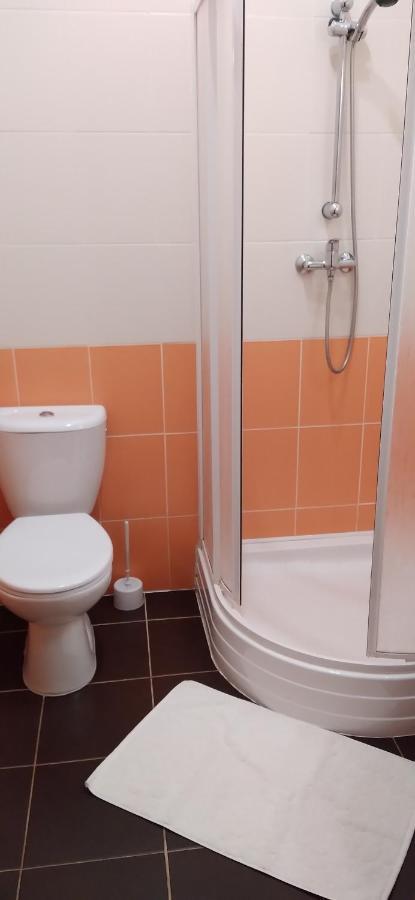Sramek Apartment Stříbro