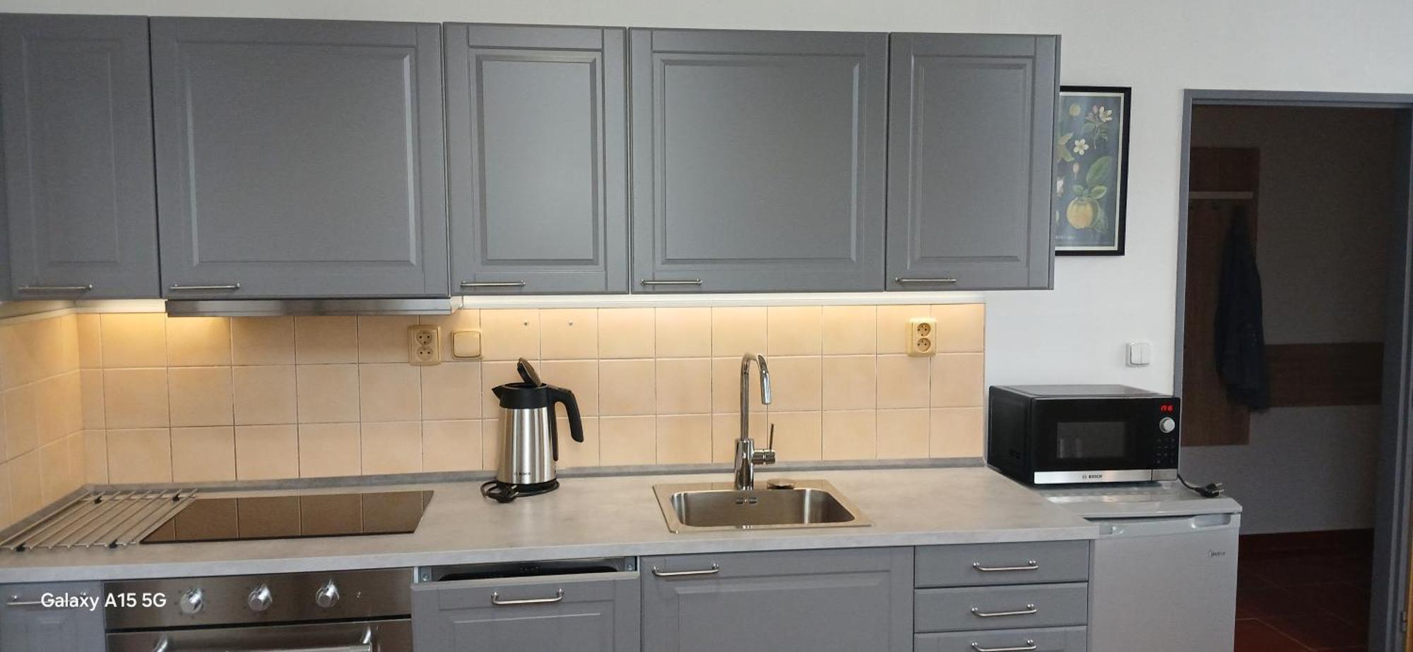 Apartment Sramek Stříbro